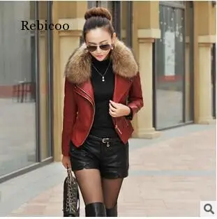 Autumn New Women Genuine Racoon Dog Fur Collar Leather Jacket Slim Stand Collar Plus Cotton Motorcycle Leather Jacket M-5XL