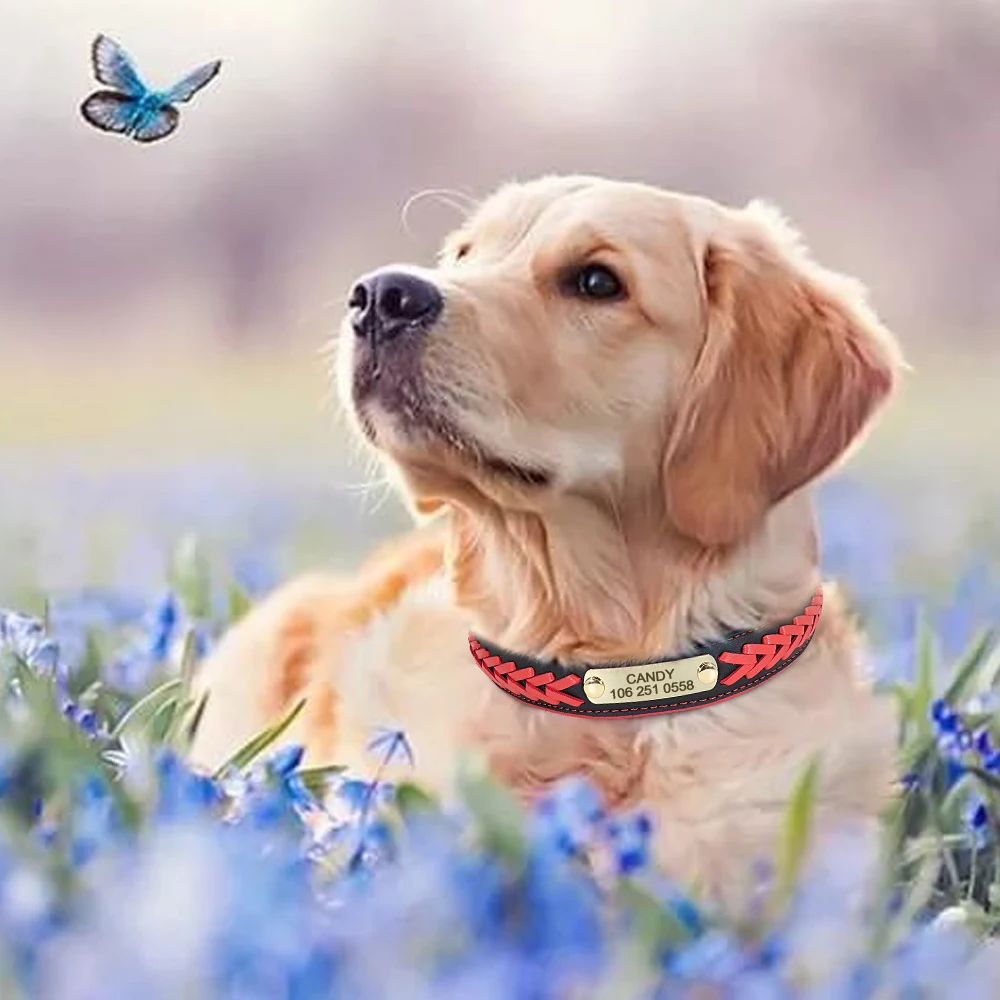 Gepersonaliseerde Halsband Leer Gevoerde Honden Gevlochten Halsbanden Gratis Gravure Pet Id Tag Naambord Voor Kleine Medium Grote Honden