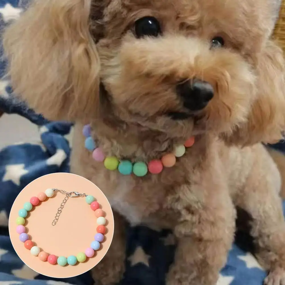 Dogs Necklace  Extension Chain Design   Pet Collar Fashion Dogs Faux Pearls Necklace Loop