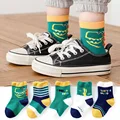 Calcetines de Dinosaurio