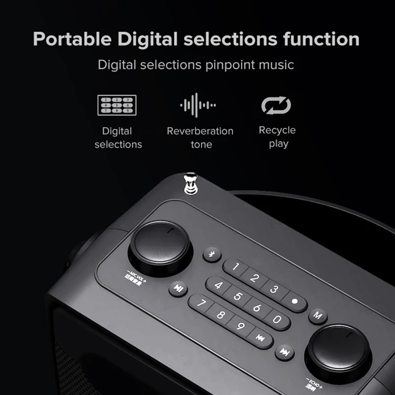 SHIDU 25 Вт Портативный голосовой усилитель Bluetooth караоке динамик с ручным беспроводным микрофоном Echo AUX запись TWS радио H8