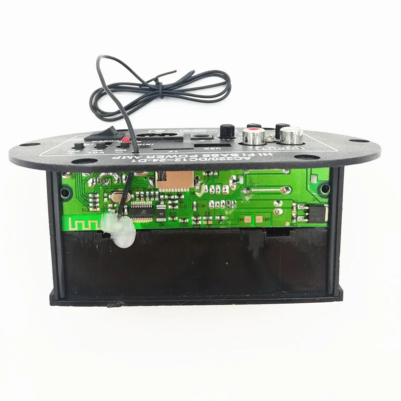 Car Audio Digital Mono Power Amplifier Board Built-in Bluetooth  12V24V220V Subwoofer With Card U Disk Remote Control Microphone