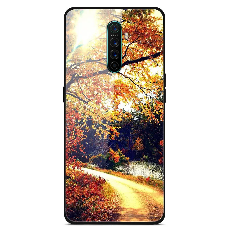 For Realme X2 Pro Cases Realme X2 Tempered Glass Hard Back Cases for OPPO Realme X2 Covers Soft Bumper Fundas Realme X2 X 2 Pro