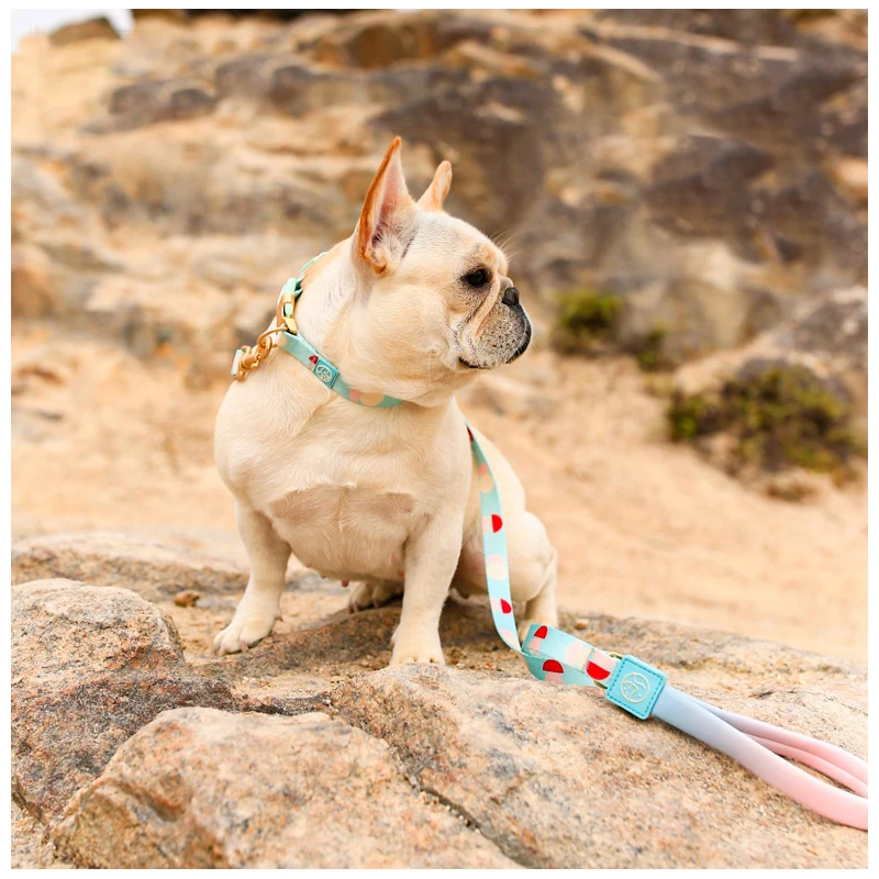 Pets Shop French Bulldog Accessories Choker Neck Semicircle Pattern Collars Leashes Dogs Belt Strap Breast-band Small Harness