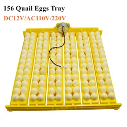 156 Quail Eggs Tray Incubator Turner Automatically Turn Eggs  Poultry Incubation Equipment Chicks Ducks & Other Poultry Incubato