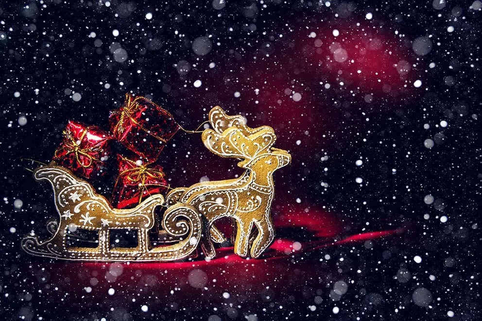 ฤดูหนาว Santa Claus การถ่ายภาพพื้นหลัง Fairytale Elk Sleigh รถเด็กทารกภาพวอลเปเปอร์ลายดอกไม้ครอบครัวตกแต่ง