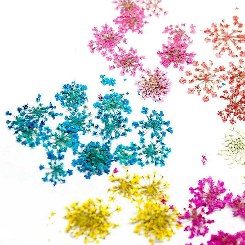 3D Dried Flowers Nail Art Decorations 3D DIY Natural Leaf Nail Jewelry UV Gel Polish nail salon decor Nails Accessories