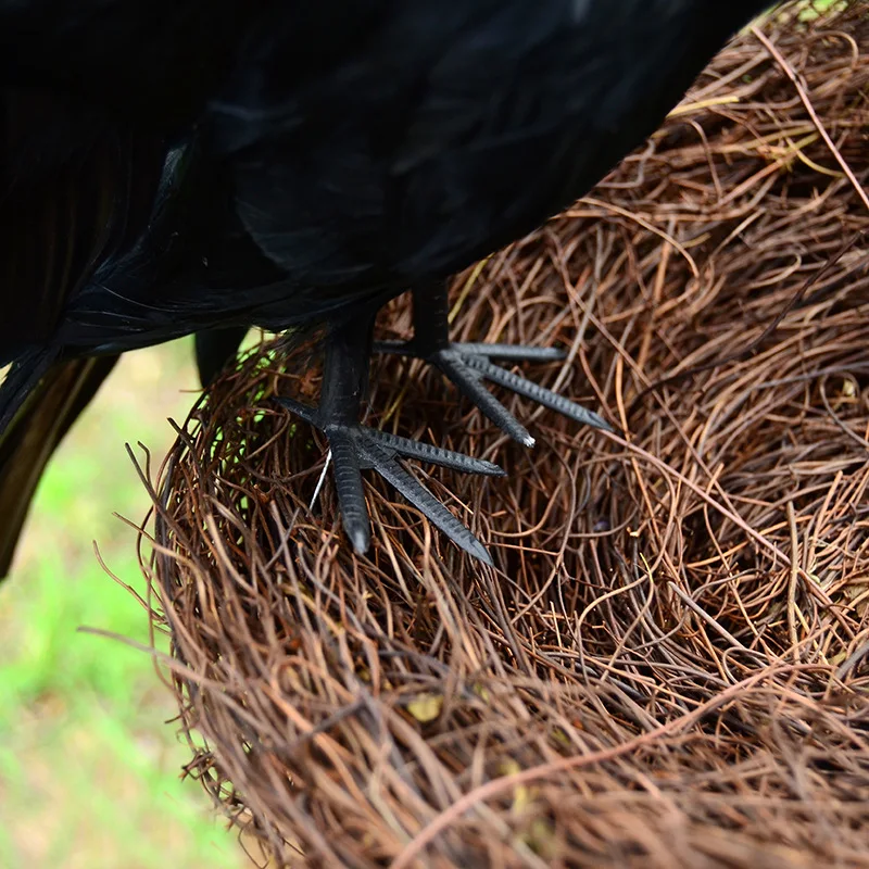 Halloween prop feathers Crow bird large 25x40cm spreading wings Black Crow toy model toy,Performance prop