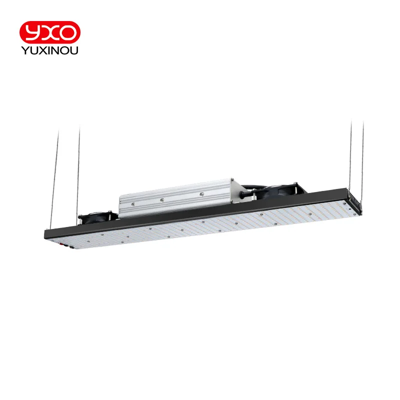 YXO 6500 LED 성장 조명 SAM-NG, LM301H 다이오드, 조도 조절, 전체 스펙트럼 수경 식물 램프, 온실 실내 식물용, 650W