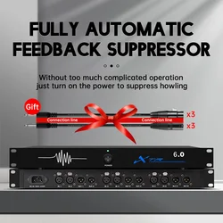 Professional Feedback Suppressor 6 in 6 Out Performance Stage Conference Automatic Anti-Howling KTV Microphone Frequency Shifter