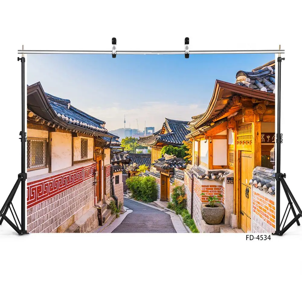 중국 스타일 거리 경치 좋은 빈티지 집 풍경 배경, 어린이 젊은 초상화 사진 배경 사진 스튜디오용