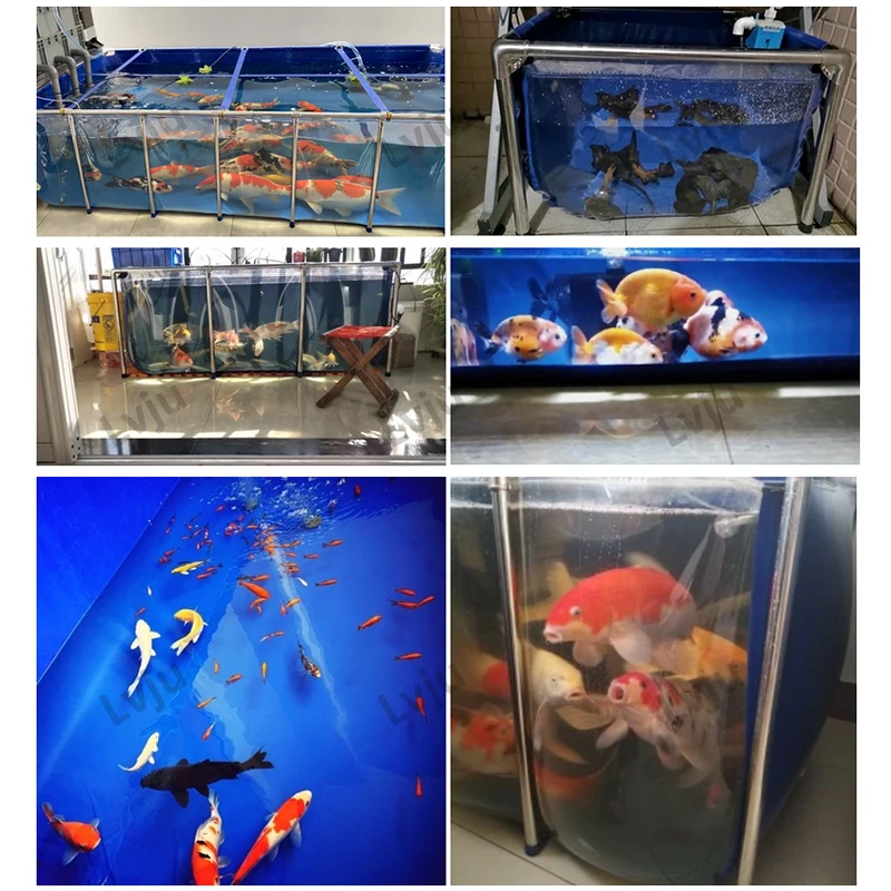 Lvju Clear Fish Aquarium Tank Portable Koi Show Fish Tank for Breeding Aquaponic Aquaculture Fish Aquarium Pond