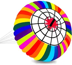 Outdoor Sports 2.5m  Power  Software Kite /Very Nice For Kite Festival