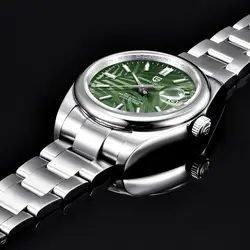 2023 New PAGANI DESIGN 39MM Palm leaf dial Men's Watches Luxury Automatic Watch For Men NH35A 10Bar Mechanical Wristwatch Men