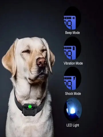 Hundehalsband, elektrisches Hundetrainingshalsband, wiederaufladbares LCD-Display für Haustier-Trainingshalsband aller Größen – Detail 3