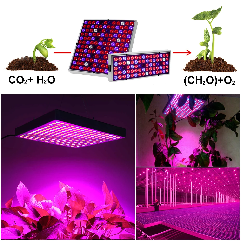 Lampe horticole de croissance 25/45W, SMD 2835 UV + IR, spectre complet, éclairage pour tente/serre/chambre de culture intérieure, plantes