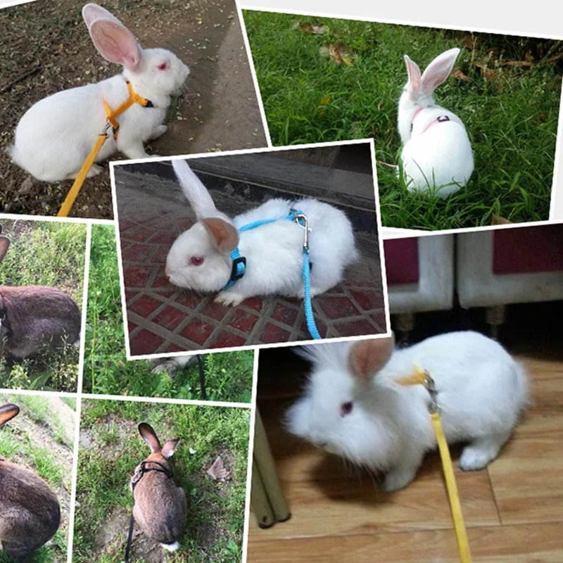 Pet Rabbit Soft Harness Leash Adjustable Bunny Traction Rope for Running Walking SAL99