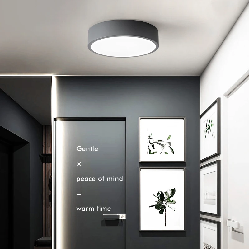 

Nordic Balcony Led Chandeliers Round Aisle Corridor Small Entrance Lights Simple Lanyard Black Gray White Green Lustre Luminaire