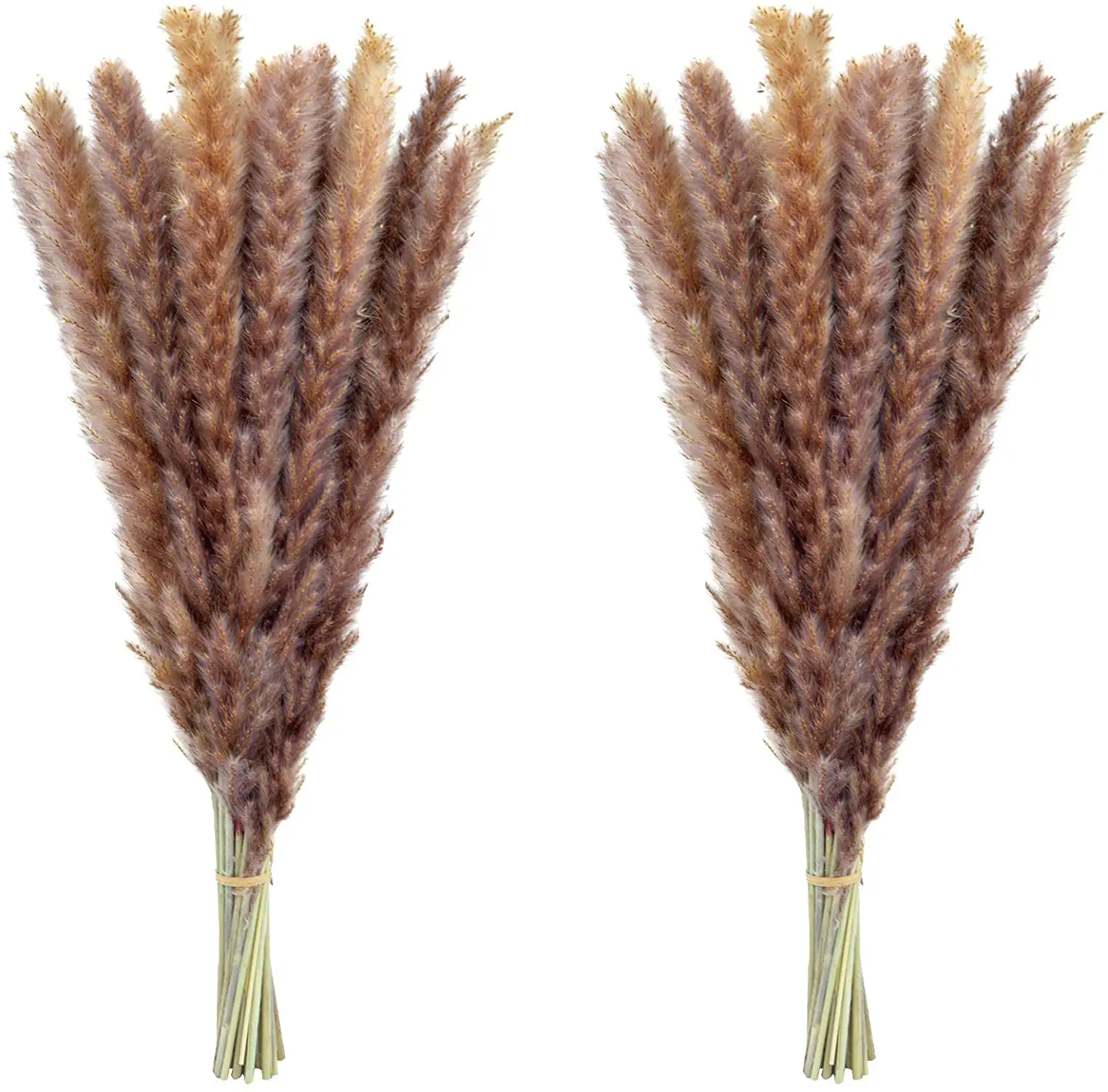 Natural Dekoration Reeds Dried Flowers Pampas Grass Phragmites Bunch Communis Wedding Decoration  Trawa Pampasowa Droogbloemen