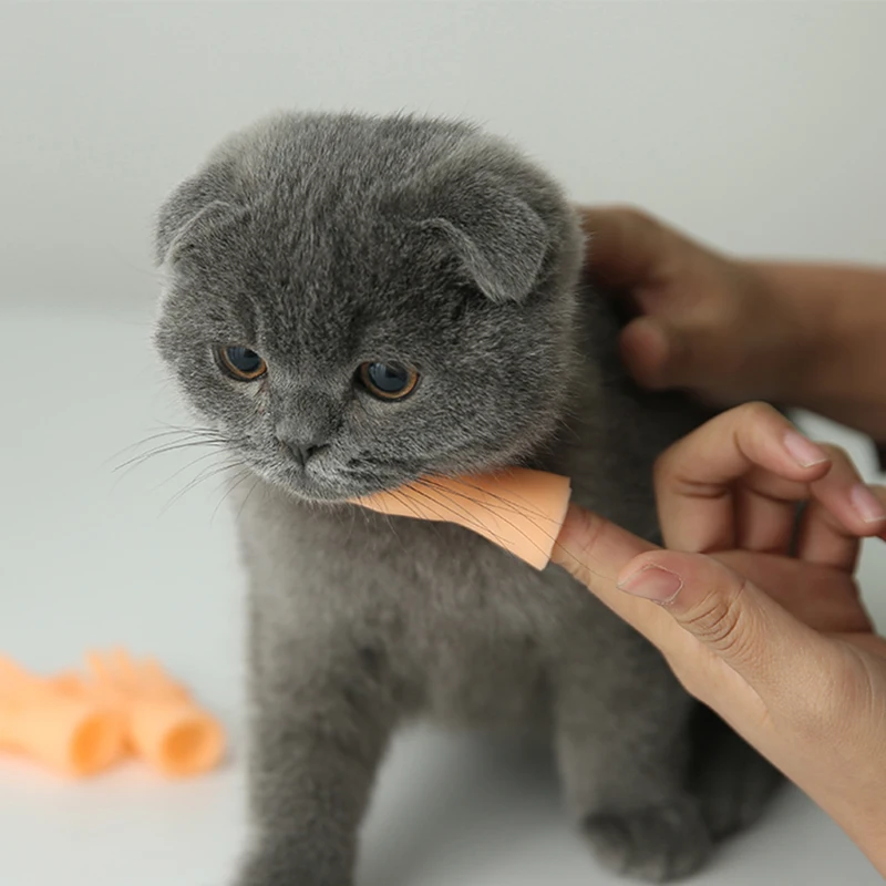 Teasing Cat Plastic Finger Gloves Human Fake Hand Cat Interactive Toys Caress Cat Dog Toys Little Hand Pet Cat Supplies 1 Pcs