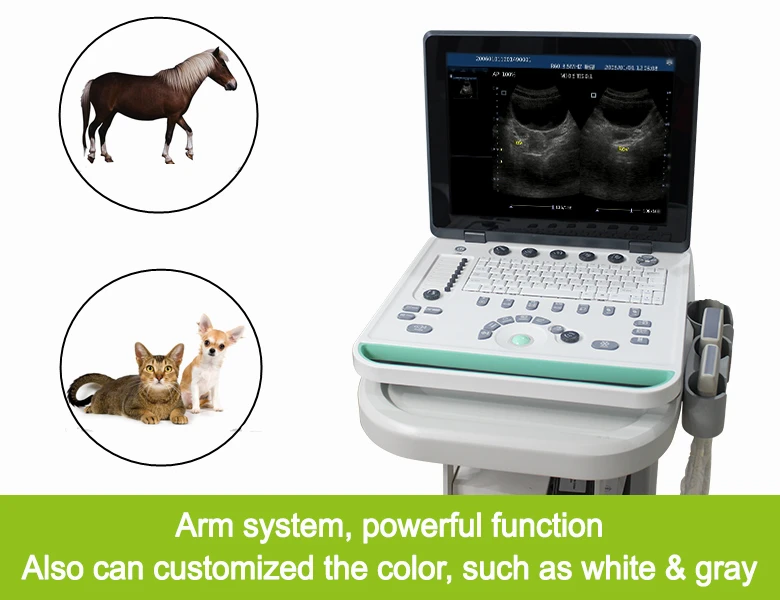 15in lcd Animal notebook USG system arm based S8VET