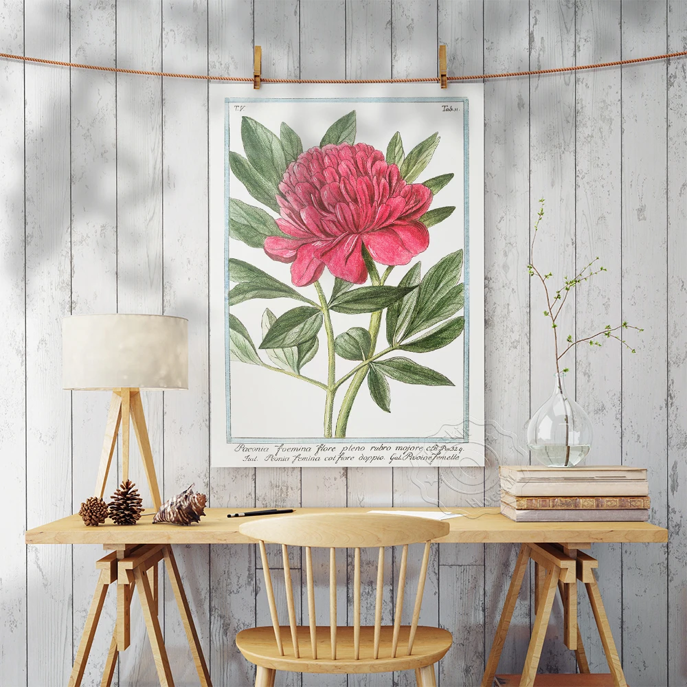 Pink Peony Botanical Art Poster, Vintage Peony Art Decor Wall Picture, Watercolor  Floral Illustration Living Room Decor Prints