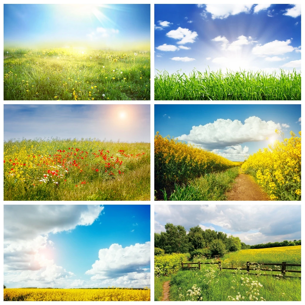 Laeacco Spring Rural Park Photography Backdrops Light Grass Room Decro Portrait Nature Scenic Photographic Backgrounds Photozone