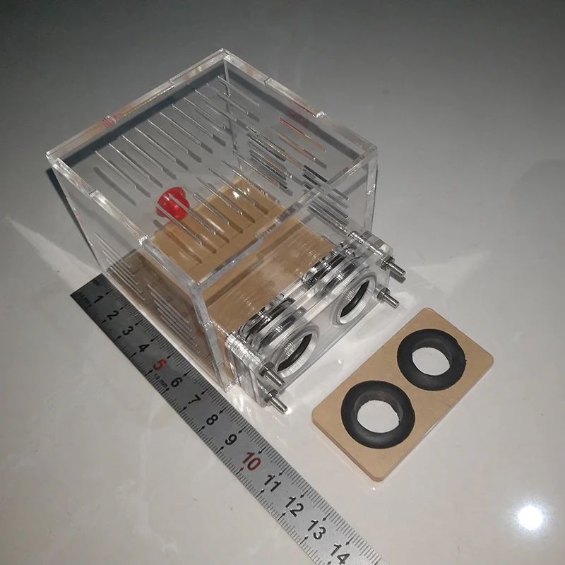 Ant New Rear Nest T… - image