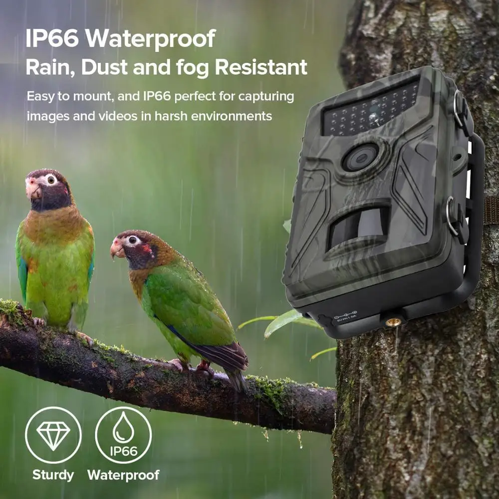 20MP Hunting Trail Camera 1080P  Wildlife Cameras Night Vision Motion Activated Outdoor Photo Traps HC804A  Wildlife Scouting