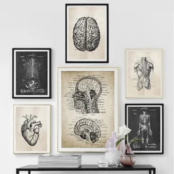 Anatomy Skeleton Patent Vintage Posters and Prints Medical Wall Art Print Canvas Painting Pictures for Living Room Home Decor