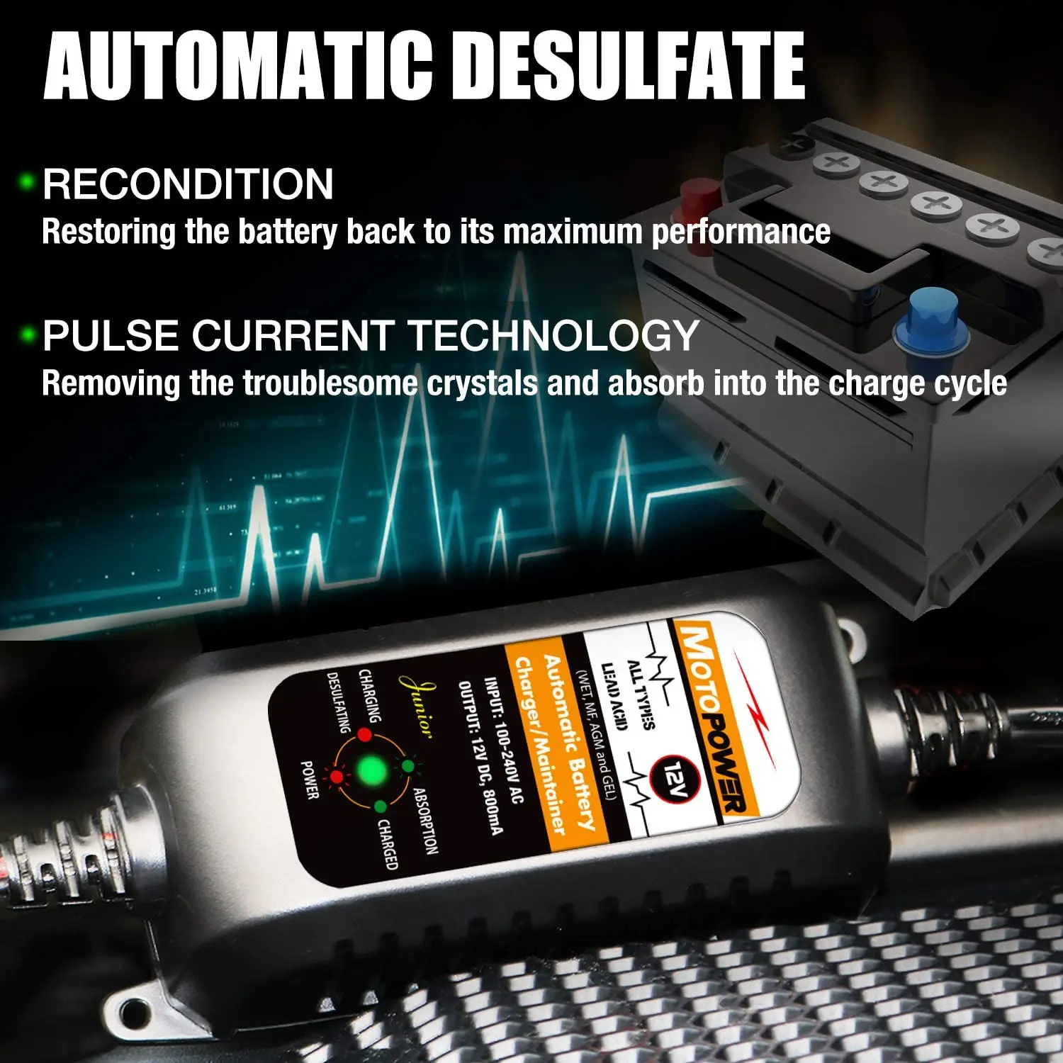 12V 800mA automatischer Smart Car Motorrad Batterieladegerät Betreuer – Detail 19