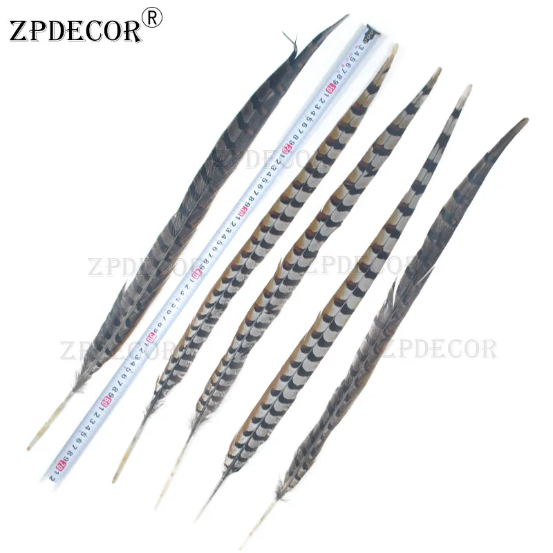 ZPDECOR-Natural Reeves Pheasant Feathers, 65-70cm, 26-28 in