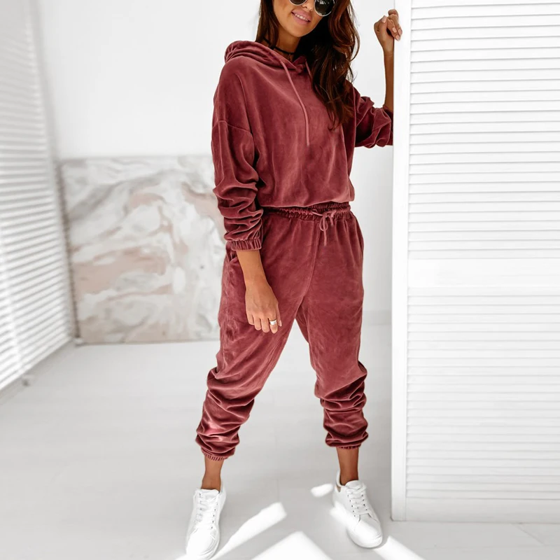 Autumn Winter Velour Tracksuit Women Velvet Set Woman Tracksuit Sets Winter Velvet Suit Two Piece Set Solid Color Hooded Suit