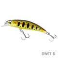 D 12pcs dw67