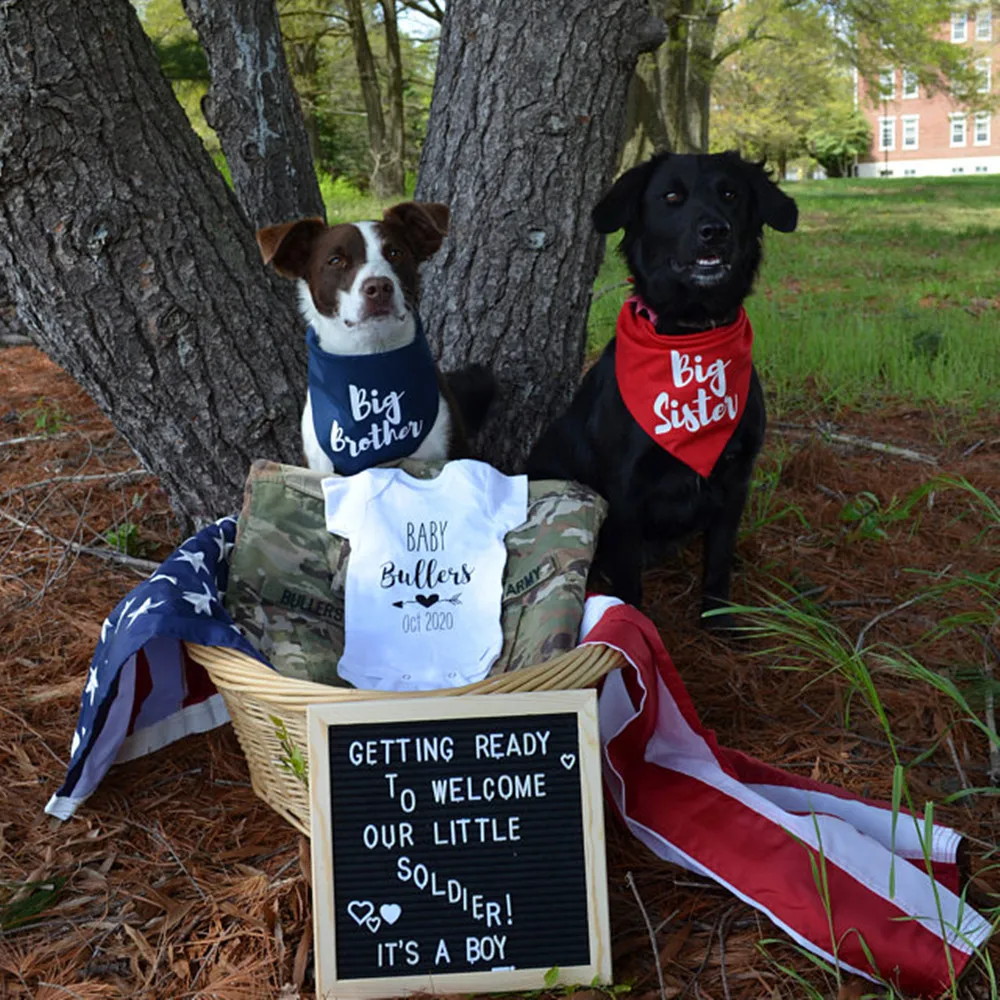 Custom Big brother Dog pregnancy announcement dog bandana baby pregnancy announcement to husband grandparents family solid color