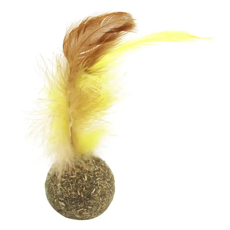 1pcs Cat Catnip Ball Vegetable Flavor Catnip Toys Interactive Faux Feather Cat Toy Kitten Chewing Ball Pet Supplies herbe a chat