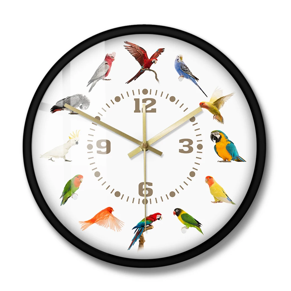 Birds Breeds Collection Modern Wall Clock Non Ticking Wall Watch Parrot Bird Pet Species Exotic Wall Art Bird Lovers Home Decor