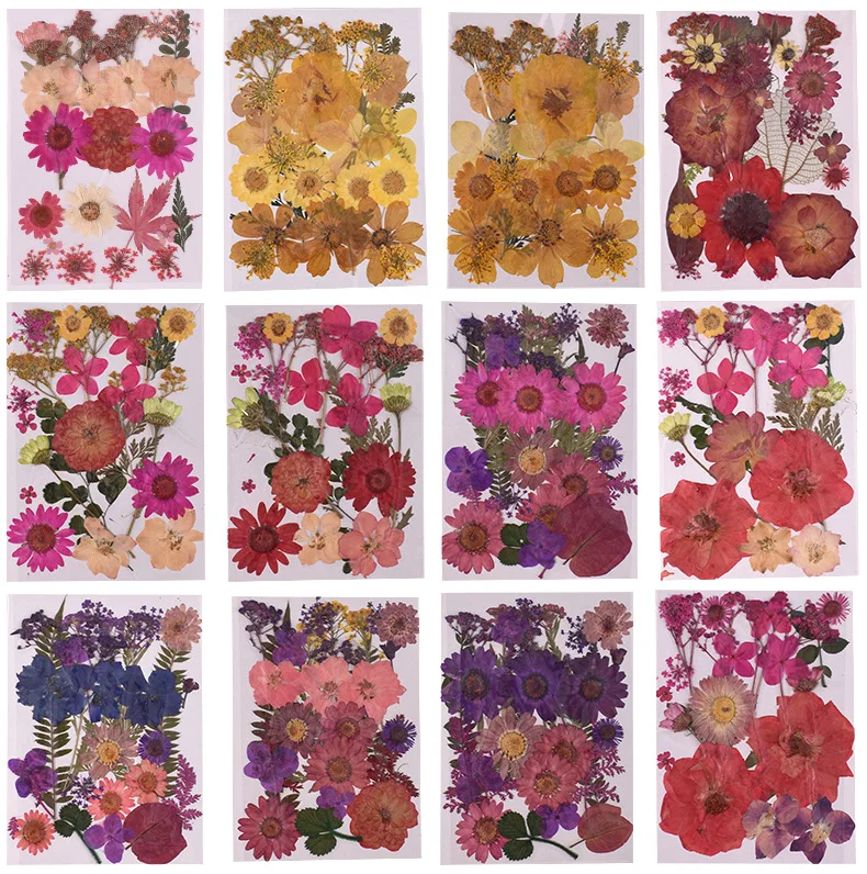 

Various DIY compressed dried flowers are used to make accessories and handicrafts filled with epoxy resin silicone m