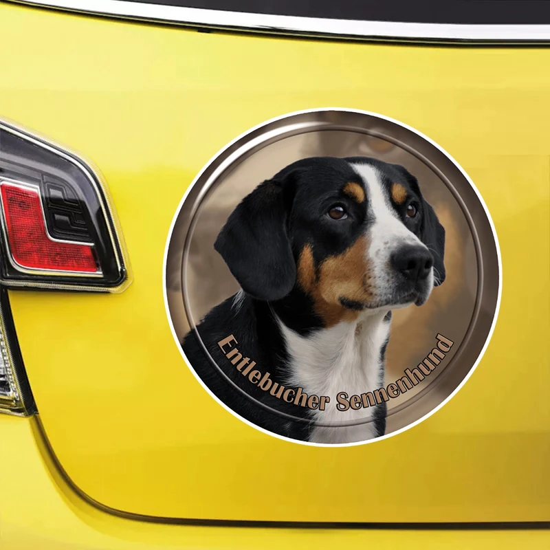 

S62159# Entlebucher Sennenhund Self-adhesive Decal Car Sticker Waterproof Auto Decors on Bumper Rear Window Laptop Choose Size