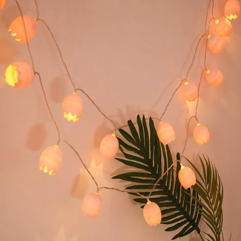 PheiLa LED Eggshell String Lights Creative Fairy String Lamps USB or Battery Operated for Easter Day Indoor Bedroom Decoration
