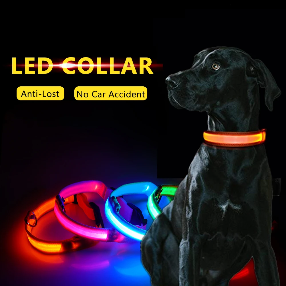 Nylon LED Dog Glowing Collar Night Safety USB Luminous Collar for Dogs Cats Flashing Light Anti-lost Puppy Necklace Pet Products