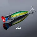 NSB202