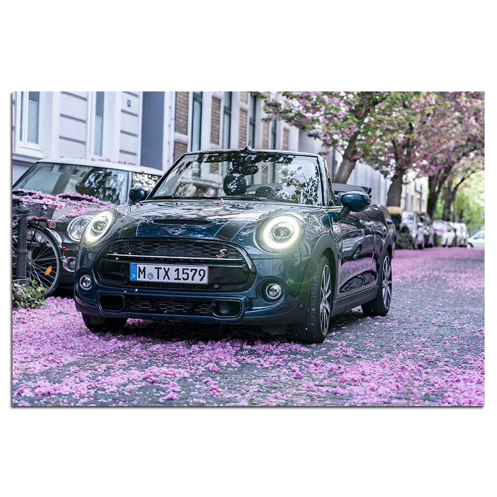 Modern Canvas Painting MINI Cooper S Cabrio Car Photo Wall Art Posters and Prints Wall Picture for Home Decor