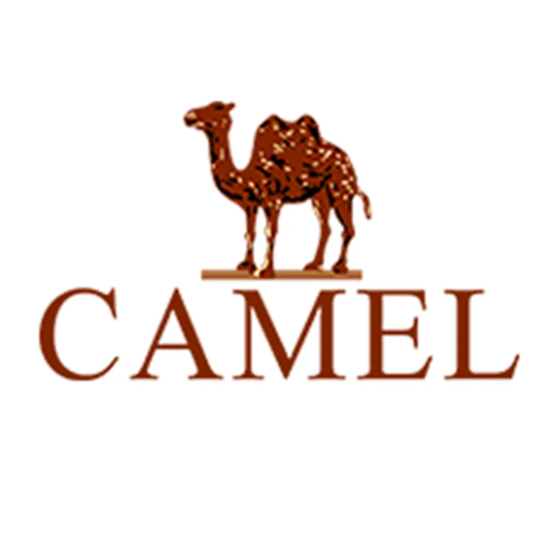 CAMEL – frais d'expédition Express pour DHL, FEDEX, UPS, EMS, TNT, la commande doit être passée en 3 à 7 jours