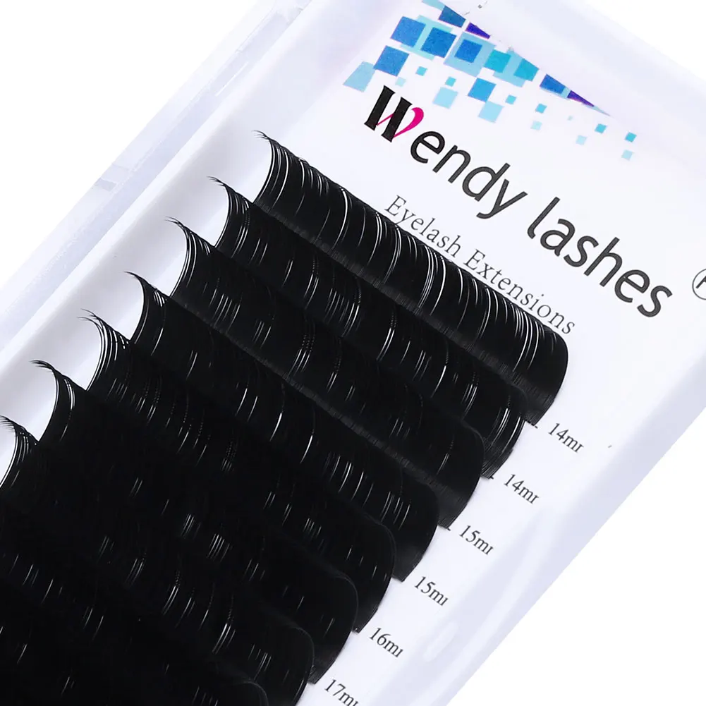 Mix-Length Individual Eyelash Extension 20-25mm DD Classic Eyelashes Natural Long Silk Lash Extension Wendy Lashes