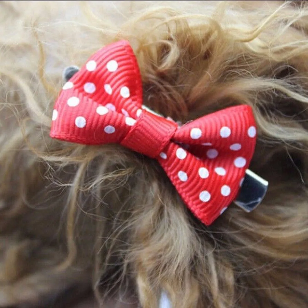 21Pcs/Lot Pet Bow Show Barrette Dog Hair Clip For Puppy Cat Grooming Accessories