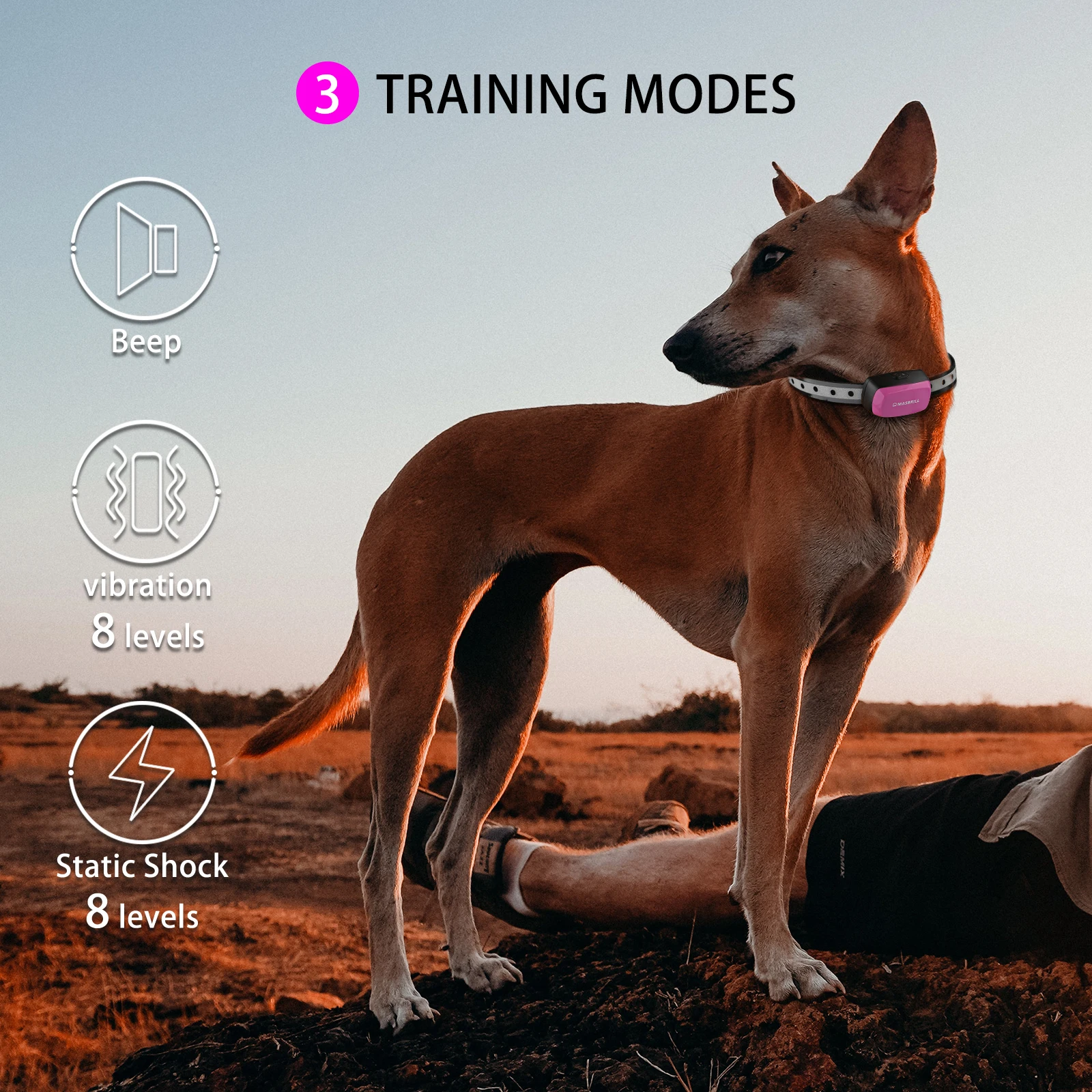 MASBRILL Waterproof Rechargeable Electric Shock Dog Training Collar Remote Control Bite Pet Trainer Anti No Bark Stop Device Aid