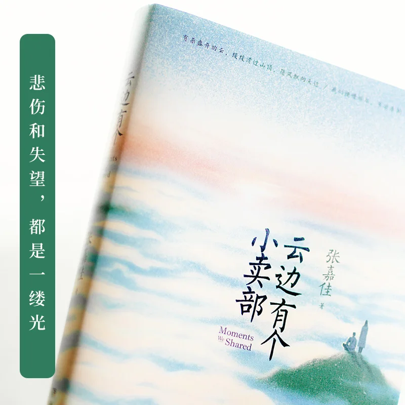 New Hot Moments We Shared (Chinese Edition)by Zhang Jiajia (Author) Youth novel books