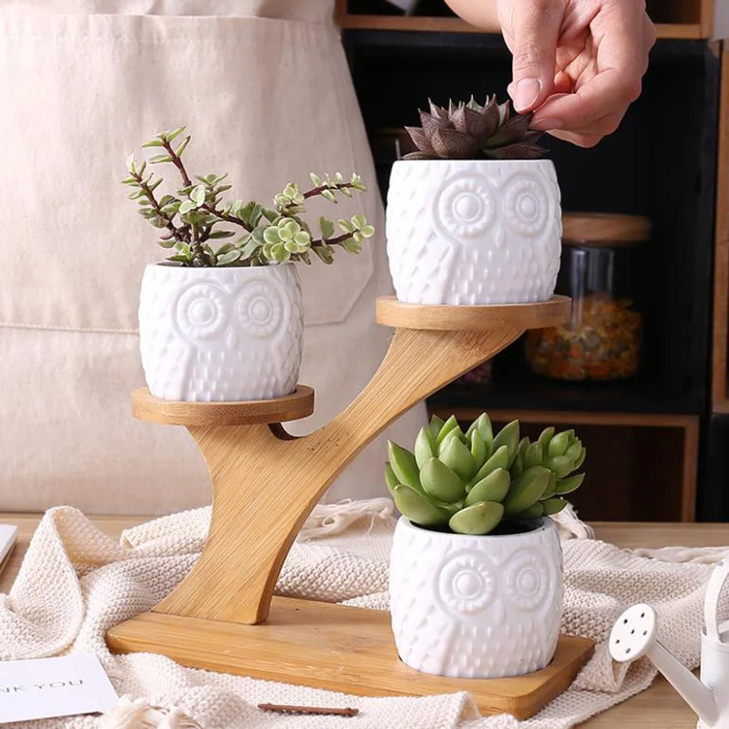 

1 Set Simple White Succulent Plant Flower Pot Holder Ceramic Owl Pattern Pot Treetop Shaped Bamboo Shelf Pot Planter Set