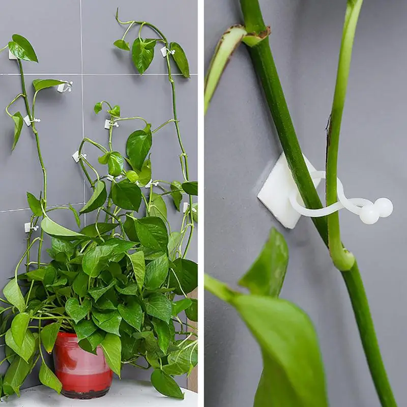10pcs Self-adhesive cable clamp Holder desk Wire organizer Invisible plant support clip Vine Climbing Wall Fixer Sticky Hook
